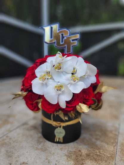 Graduation Cake Topper, USF, UF, FIU, FAU, FSU Cake Topper